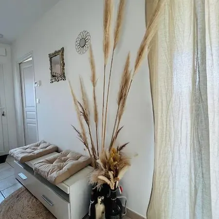 Maison Cosy Avec Ses 2 Terrasses 別荘 *