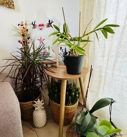 Maison Cosy Avec Ses 2 Terrasses * ブレム・シュル・メール